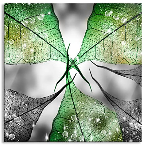 Pixxprint Glasbild, Wandbild auf Echtglas, grüne Blätter mit Wassertropfen, 70x70 cm, inkl. Aufhängung und Abstandshalter