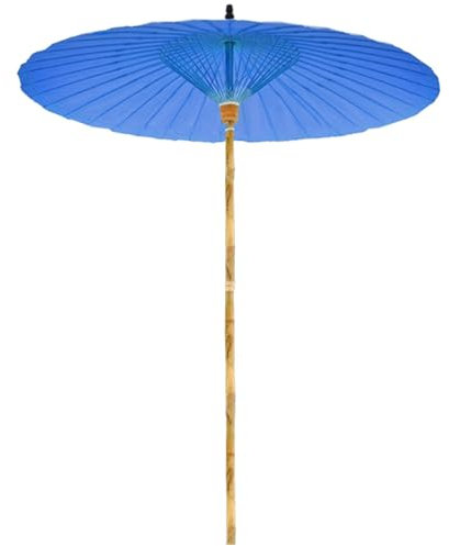 CFLNHMSY Ombrelloni E Giardini Decorativi, Ombrelloni da Spiaggia Estivi, Tondo Ombrello Parasole da Esterno da Spiaggia, Diametro 200cm, Protezione UV(Blue)
