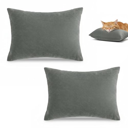 Rylae 2 Pièces Mini Oreiller de Voyage 11x7in, Petit Coussin de Sieste de Couleur Unie, pour Adultes Enfants Chiots, Lavable en Machine, pour Nuque Poignet Jambes Bureau(Gris)