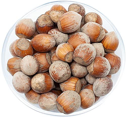Leimüller Haselnüsse mit Schale 5kg Eichhörnchenfutter Eichhörnchen Nüsse