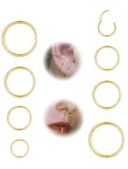 Habselikob 8Pcs Piercing Nez Anneaux Acier Chirurgical Piercing Oreille Hoop Hinged Anneau Septum Clicker 16G/18G Septum Conch Tragus Daith Piercing 6mm/8mm/10mm/12mm