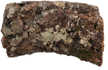 WEKAMOS Nascondiglio Marrone Chiaro in Tronco di Albero per Rettili Dimensioni Variabili Rifugio Naturale e Realistico per Gechi e Anfibi in Habitat Acquatico