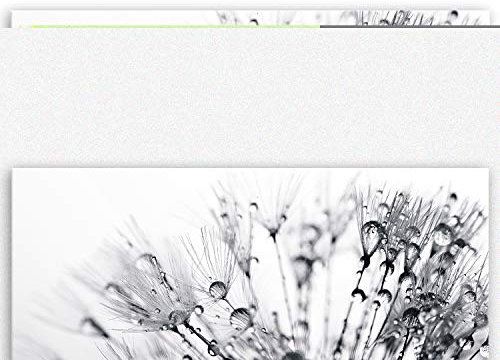 ge Bildet Bild auf Leinwand | another world - schwarz weiß - Blumen Natur Pusteblume in 120x50 cm als Panorama Wandbild XXL | Wand-deko Dekoration Wohnung modern Bilder | 2207