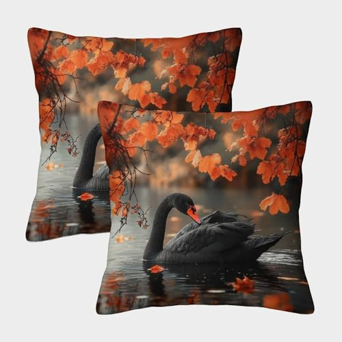 OSBELE 2er-Pack Kissenbezug 50x50cm Deko-Kissenbezug Black Schwan Deko-Kissenbezug Blumen Herbst Deko-Sofa-Kissenbezug Mit Muster Passend Für Sofa Wohnzimmer Balkon Garten Auto