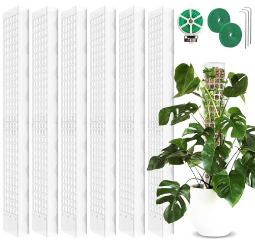 6 Satz Moosstab Rankhilfe:61cm Pflanzstab Plastik Mit 3 Erdspieße,2 Klettbändern,30m Garten Drehbinder,Rankhilfe Monstera,Moosstab für Monstera Rankhilfe,Pflanzstab Monstera für Garten Kletterpflanzen