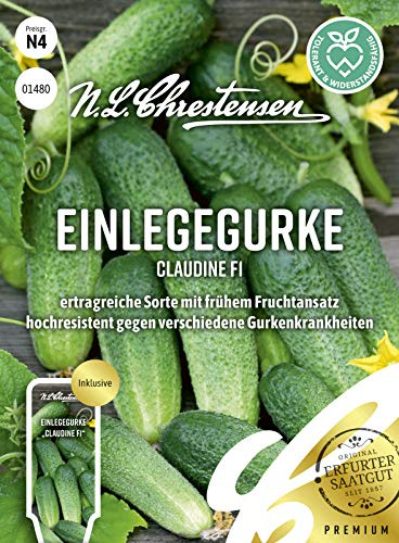 Einlegegurke Claudine F1 Samen, Saatgut