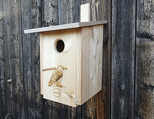 Premium Natur Lärchenholz Nistkasten unbehandelt nach Nabu, massives Vogelhaus Nisthilfe wetterfest 18mm stark verschraubt, Befestigungsmaterial (Alunägel) (Nistkasten Star mit Sitzstange)
