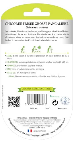 Graines Chicorée Frisée Grosse Pancalière BIO Les Doigts Verts