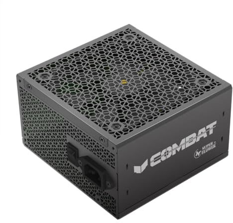 Super Flower Combat FG 80 PLUS Gold, ATX 3.1, modular - 750 Watt
