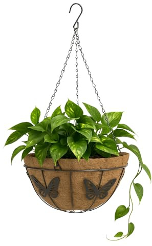TECHZOCO Macetero de Coco Colgante, Maceta de Coco diseño Mariposas, Tiesto Colgar Flores, Fabricado en Fibra de Coco y Metal, Recipiente Pared para Flores, 35 cm diámetro x 17.5 cm Alto
