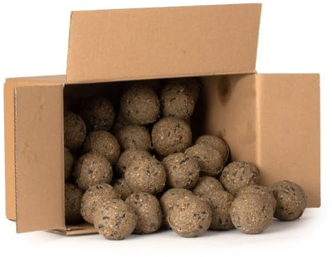 CJ Wildlife Meisenknödel ohne Netz mit Insekten – 50 Stück à 95 g – Vogelfutter Wildvögel ganzjährig – Fettfutter für Meisen, Sperlinge, Rotkehlchen