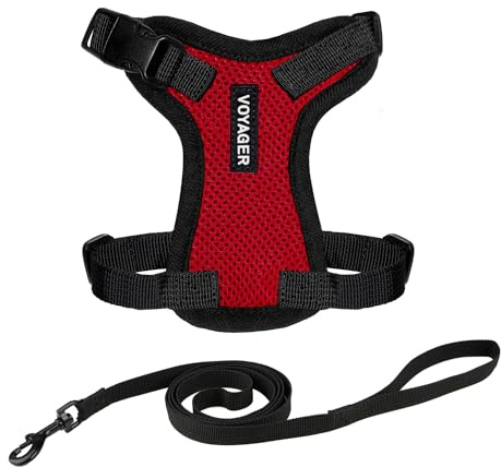 Voyager Step-in Lock Katzengeschirr und reflektierende Katzenleine mit Neoprengriff by Best Pet Supplies - Unterstützt kleine, mittelgroße und große Katzenrassen, Rot / Scharzwer Rand, size S - 1,5 m