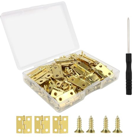 Lot de 50 petites charnières pliables, Mini Charnieres Rétro avec 200 Vis, Charnières Miniatures avec Tournevis, Charnière Plate, Charnières pour loisirs créatifs, boîte en bois, bijoux, bricolage