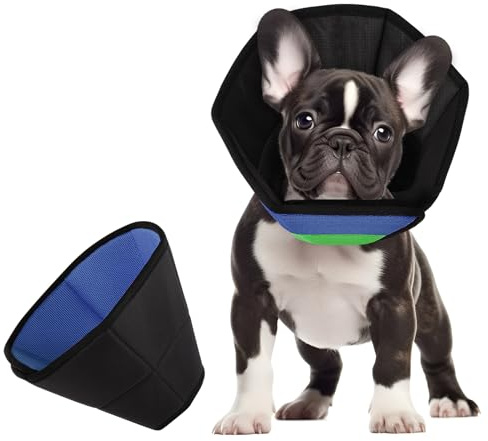 CITÉTOILE Halsband hund, bekväma skyddsåtgärder skyddskrage hund, justerbar hundkrage, förebyggande av bett och halsband läckage, blågrön, M