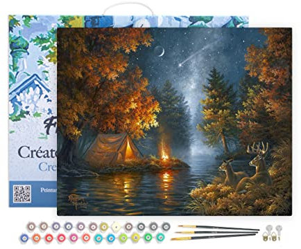 Figured'Art Peinture par Numéro Adulte avec Cadre Camping sous une nuit etoilée - Activité Manuelle Kit de Loisir Créatif DIY Numéro d'Art Complet - 40x50cm toile tendue sur châssis
