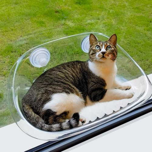 RUYICZB Katzen Fensterliege Katzenbett Fenster Hängematte Für Fenster Mit Stabil Saugnäpfe Katze Fensterbank Sitzstange Für Katze Sonniger Katzenhängematte Bis Zu 20Kg,Clear