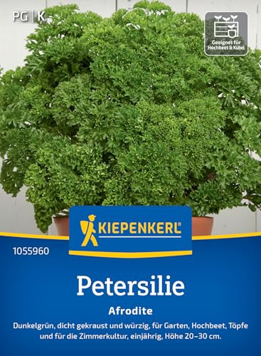 Kiepenkerl Petersiliensamen Afrodite 1055960, Kräutersaat | Dicht gekraust und würzig für Garten und Zimmerkultur, kompakt, aromatisch