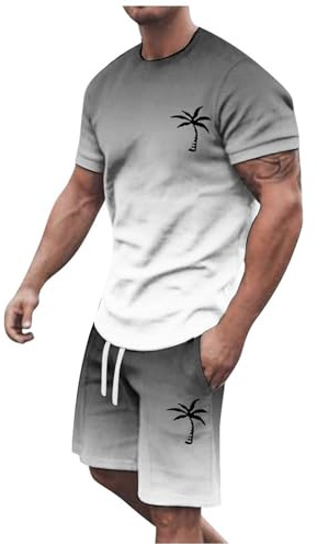 Genérico Conjunto Hombre 2 Piezas Verano Casual Playa Camiseta Manga Corta y Bermudas Algodón Transpirable Caballero Estilo Moda Fresco A31