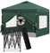 Laneetal Cenador 3x3m, Carpa Plegable para Exterior, Cenador con Paredes Laterales, Gazebo, Pabellón de Jardín para Camping, Pérgola Tienda de Fiestas, Carpa Impermeable,Verde