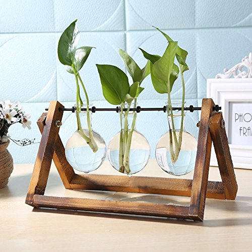 Pot de fleurs en verre - Kit de terrarium avec support rétro en bois massif - Station de propagation pour plantes aquatiques d'intérieur, jardin, bureau - Accessoires de décoration