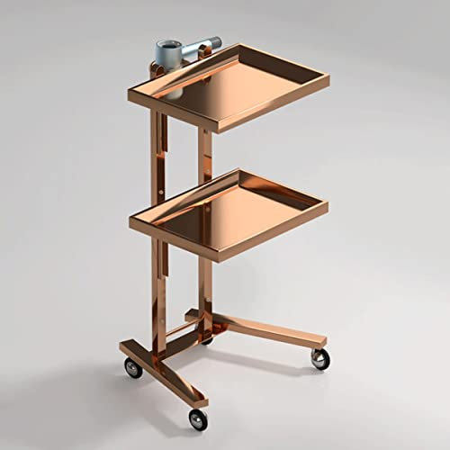Friseur Trolley Friseurwagen Tablett Gold Aluminium Arbeitswagen Mit ZubehöR fön StäNder TäTowierungen Trolley Salons GeschäFte Mit Metallring Rollcontainer HöHenverstellbar SchöNheit