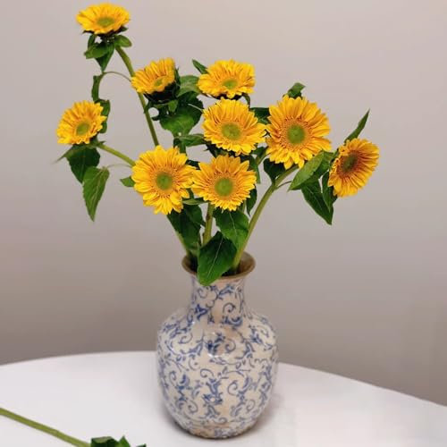 20 pcs Sonnenblumen samen gartenpflanzen, stauden winterhart Helianthus annuus bonsai samen blumendeko bienenfreundliche blumensamen flowers, pflanzen wildblumensamen bienenwiese saatgut