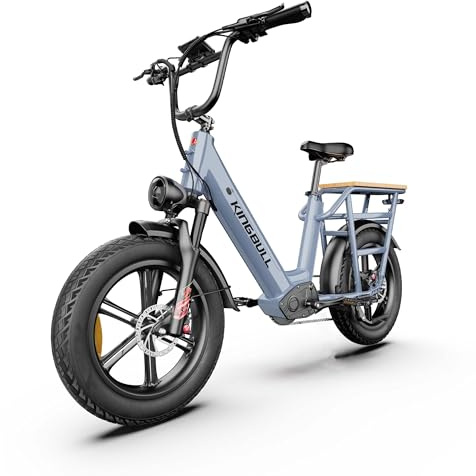 Sinaopus Elektric Cargo Bike Fat Tire E-Bike 20 Zoll 200kg Zuladung 960Wh, 25km/h Elektrofahrrad 100km Reichweite, Hydraulikbremsen für Erwachsene, Grau