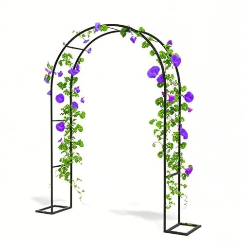 Arche de Jardin en métal Arceau à rosiers pour Plantes grimpantes, rosiers, vignes de glycine, pergola Tonnelle de Jardin Intérieur Extérieur Décoration de Fête de Mariage(Black,180cm)