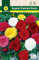 Mascarell Semillas, BEGONIA FIMBRIATA MEZCLA DE COLORES, Semillas Bulbosas, Bulbos de Flores Primavera Fácil de Cultivar, Bolsa 2 Bulbos