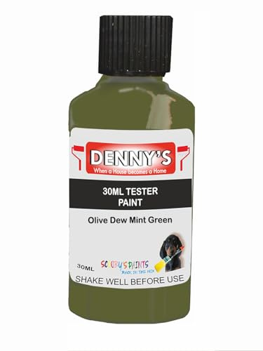 Premium Interior Wall & Ceiling Emulsion Paint – Olive Dew Mint Green – Rich Matt Finish, Durable & Washable, Low Odour, Ideal for Living Rooms, Bedrooms & Hallways (30ML Tester Bottle)