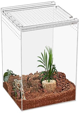 KAKOOTI Reptile Terrarium,20 * 20 * 30cm Reptilienzuchtbox, magnetisches Acrylgehäuse, für Schlange, Tarantula, Einsiedlerkrabbe, springende Spinne, Iguane, Leopard Gecko, Bartdrache, Insekt, Mantis