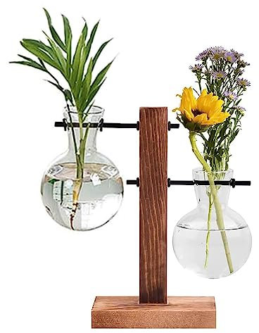 Reagenzglas Vase aus Holz, Glas Reagenzglas Vasen, Hydroponische Vase mit Holzrahmen, Reagenzglas Blumenvase, Pflanzen Ableger Glas, für Office Home Decoration, 2 Bulb Vasen