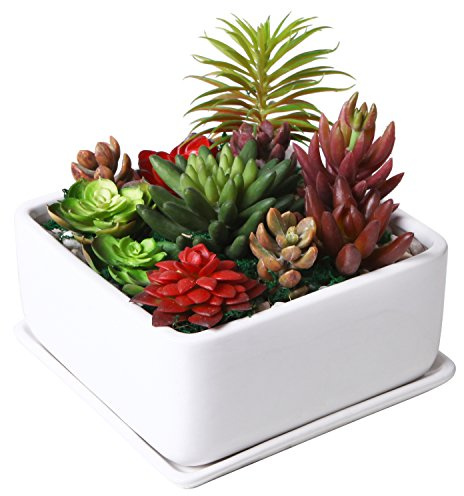 MyGift Modern White Ceramic Square Indoor Small Planter, Flower Succulent Plant Pot with Drainage Hole and Removable Drip Tray