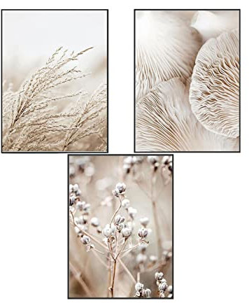 SWECOMZE 3er Premium Poster Set, Stilvolle Wandbilder, Boho Beige Natur Strand Pampasgras Kunstposter OHNE Rahmen, Print Bilder Wandposter Home Deko (Stil C,40 x 60 cm)
