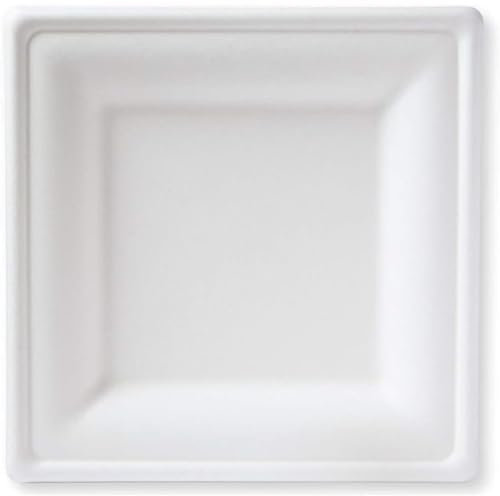Generico 50 100 200 assiettes en canne à sucre carrées 16/20/26 cm, assiettes en papier jetables bagasse biodégradable et compostable (50 pièces 16 x 16 cm)
