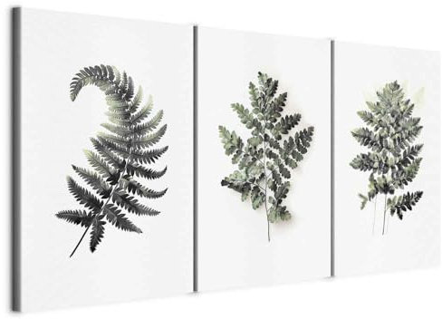murando - Tableau triptyque Ensemble 120x60 cm (3 pièces de 40x60 cm chacune) – Tableau acoustique panneau insonorisant impression sur toile - Fougères en éventail – Feuilles vert b-H-10128-b-a