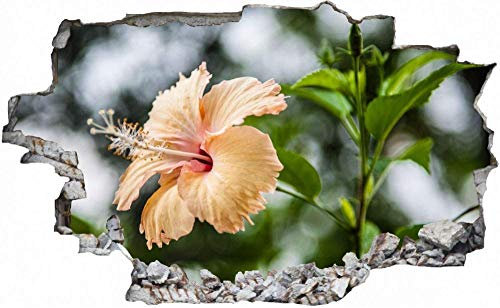 3D-Effekt Wandtattoo Aufkleber Durchbruch selbstklebendes Wandbild Wandsticker Stein Wanddurchbruch Wandaufkleber Tattoo,Blume Orchidee Blüten,Größe:70x110cm