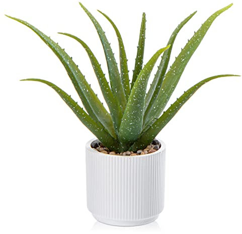 Oairse Pianta artificiale in vaso di aloe vera artificiale in vaso di ceramica, piante artificiali, decorazione per piante, soggiorno, balcone, camera da letto, bagno, camera da tavolo