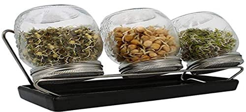 Eschenfelder Sprossengläser System III (anthrazit, 750 ml)