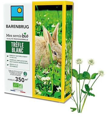 BARENBRUG - Trèfle blanc BIO - Enrichit Naturellement Sol - 500G | Limite les Mauvaises Herbes - Résiste à la Sécheresse - Enrichit le Sol - Fabriqué en France