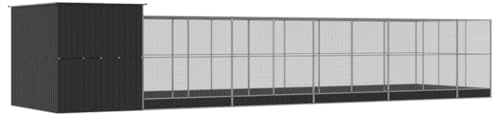 Generic Stor Voljär Av Galvaniserat Stål med Förlängning Utomhus Fågelbur med Låsbar Dörr (1118 x 303 x 216 cm)