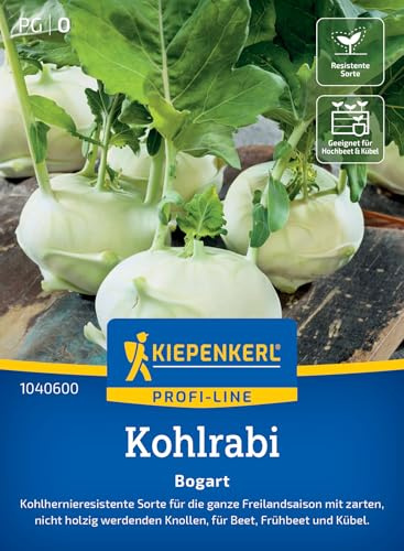 Kiepenkerl Kohlrabisamen Bogart 1040600, Gemüsesaat | Freilandsaison, nicht holzig, für Beet & Freiland