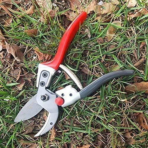 Forbici da potatura, tagliaerba, tagliaerba, tagliabordi ...