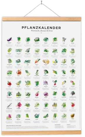 531 Rheinland Design Pflanzkalender und Aussaatkalender für den Garten, Aussaatzeiten für 64 verschiedene Gemüsesorten als Poster in Farbe mit und ohne Rahmen (50 x 70 cm, Mit Posterleiste)