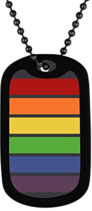 Bandmax LGBTQ Kette Männer Frauen Edelstahl LGBT Dog Tag Kette Schwarz Regenbogen Halskette Homosexuell Erkennungsmarke Kugelkette Pride Accessoires
