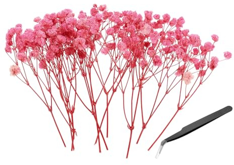 PATIKIL Mini Gypsophila Torkade Blombuketter, 30 Stycken Naturliga 4-tums Rosa Pressade Blombuketter Med Pincett För Gör-det-själv Present Harts Bröllop Juldekorationer