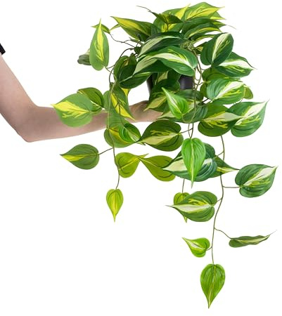 Artificial Devil's Ivy Pothos Plant, 70cm Indoor Trailing Plant, Variegated Green Leaves In Black Pot