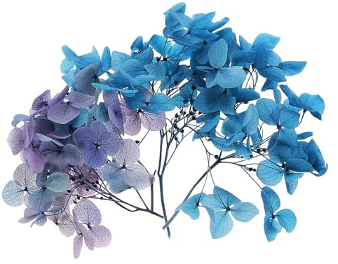 PATIKIL 10g Fleur D'Hortensia Séchée Fleurs Pressées Bleu Dégradé | Naturelles, Pétales Réels D'Hortensias, DIY Résine Artisanat Carte Florale Bougies