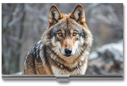 FHECVBN Visitenkartenetui mit Wolfs-Motiv, bedruckt, schmal, Metall, Visitenkarten-Organizer, Kreditkartenhalter, Schnalle, für Männer und Frauen, wolf, 3.7 x 2.2 x 0.3 Inches, Casual