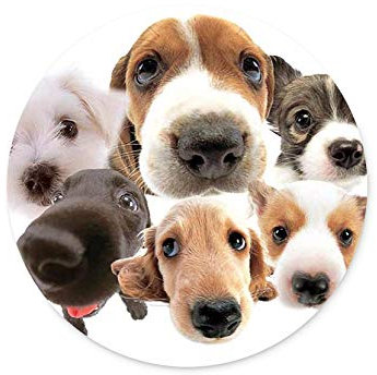 Round Mouse Pad Dog Design, Professional Customized Non-Slip Rubber Gaming Mouse Pad, Good Gift for Office Work and Home Computer Accessories